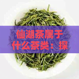 仙湖茶属于什么茶类：探究其类别与特点