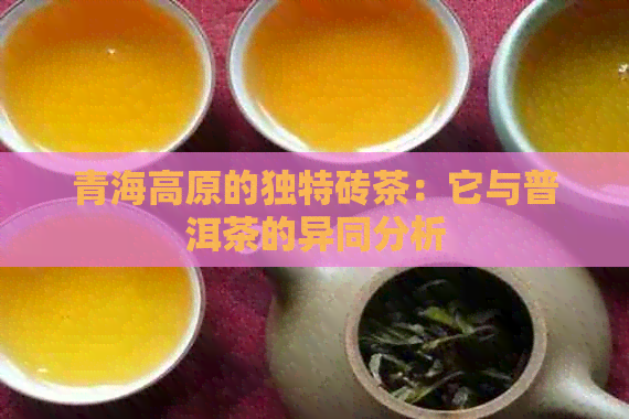 青海高原的独特砖茶：它与普洱茶的异同分析