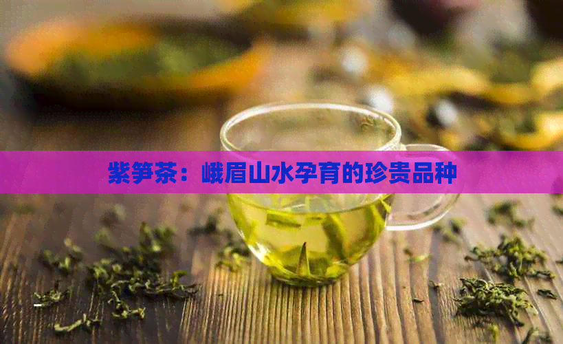 紫笋茶：峨眉山水孕育的珍贵品种