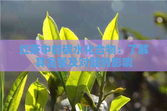 红茶中的碳水化合物：了解其含量及对健的影响