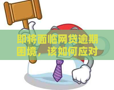 即将面临网贷逾期困境，该如何应对？