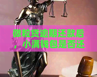 微粒贷逾期还款后，小满钱包是否还能再次提供贷款借款服务