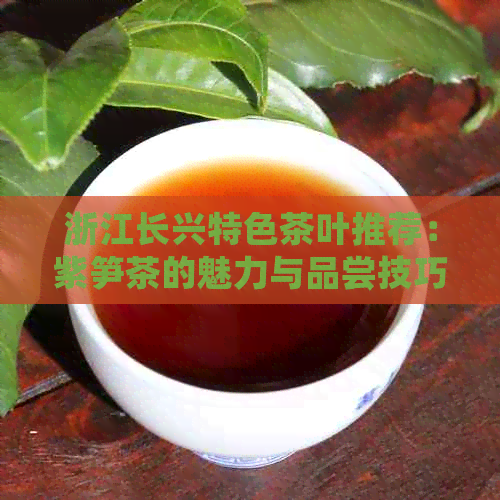 浙江长兴特色茶叶推荐：紫笋茶的魅力与品尝技巧