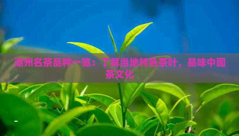 湖州名茶品种一览：了解当地特色茶叶，品味中国茶文化