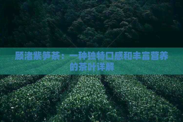 顾渚紫笋茶：一种独特口感和丰富营养的茶叶详解