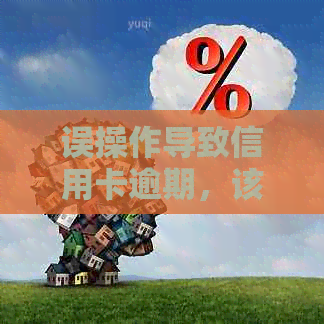 误操作导致信用卡逾期，该如何解决与银行卡相关问题