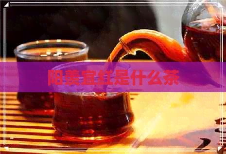 阳羡宜红是什么茶