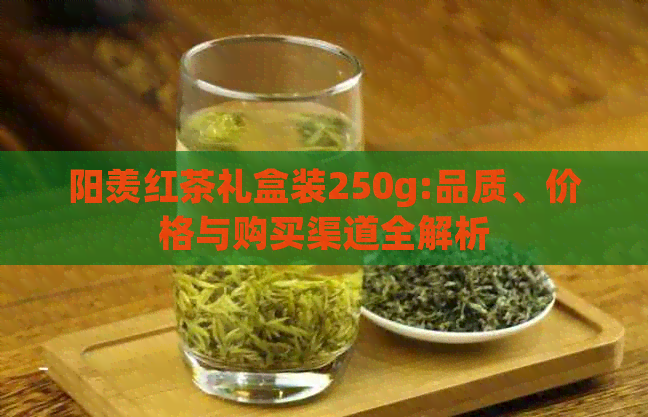 阳羡红茶礼盒装250g:品质、价格与购买渠道全解析