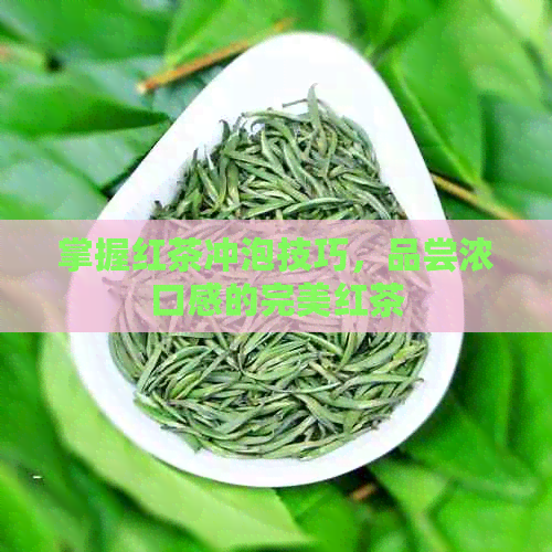 掌握红茶冲泡技巧，品尝浓口感的完美红茶