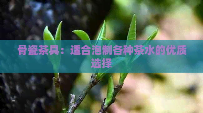 骨瓷茶具：适合泡制各种茶水的优质选择