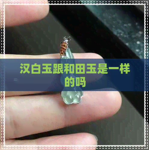 汉白玉跟和田玉是一样的吗