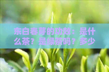 东白春芽的功效：是什么茶？是绿茶吗？多少钱一盒？怎么泡？属于哪个档次？