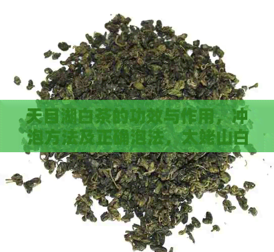 天目湖白茶的功效与作用，冲泡方法及正确泡法，太姥山白茶的相关介绍