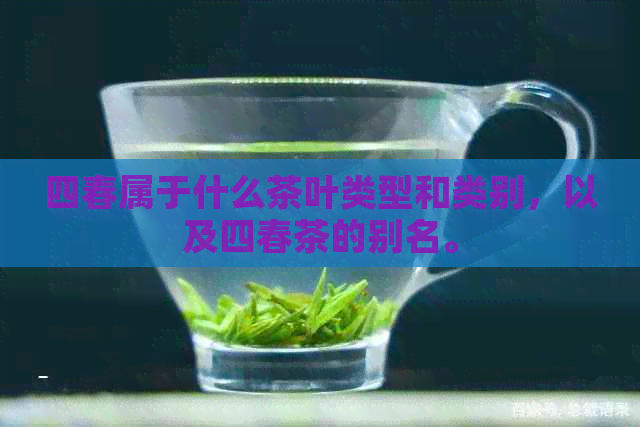 四春属于什么茶叶类型和类别，以及四春茶的别名。