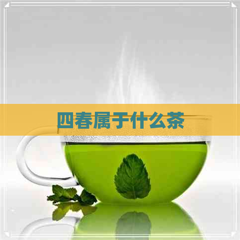 四春属于什么茶