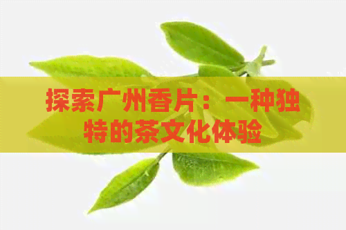 探索广州香片：一种独特的茶文化体验