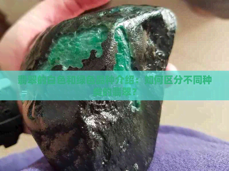 翡翠的白色和绿色品种介绍：如何区分不同种类的翡翠？