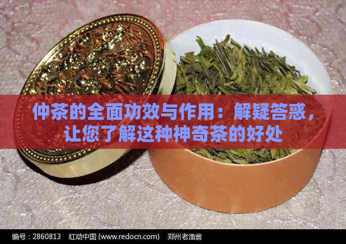 仲茶的全面功效与作用：解疑答惑，让您了解这种神奇茶的好处