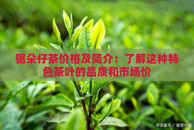 锯朵仔茶价格及简介：了解这种特色茶叶的品质和市场价