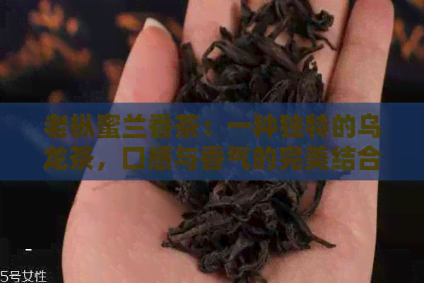 老枞蜜兰香茶：一种独特的乌龙茶，口感与香气的完美结合