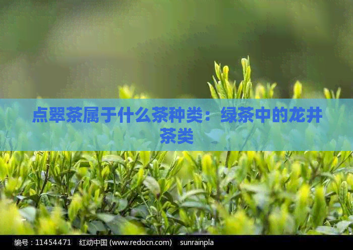 点翠茶属于什么茶种类：绿茶中的龙井茶类