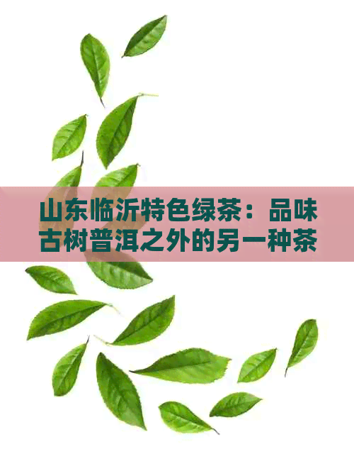 山东临沂特色绿茶：品味古树普洱之外的另一种茶香