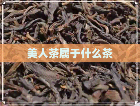 美人茶属于什么茶