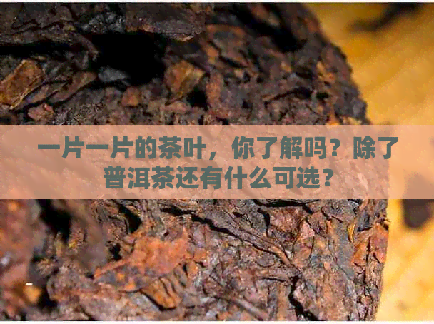 一片一片的茶叶，你了解吗？除了普洱茶还有什么可选？