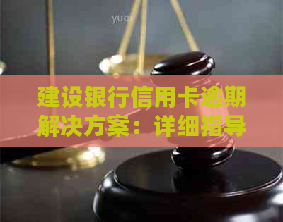 建设银行信用卡逾期解决方案：详细指导与应对策略