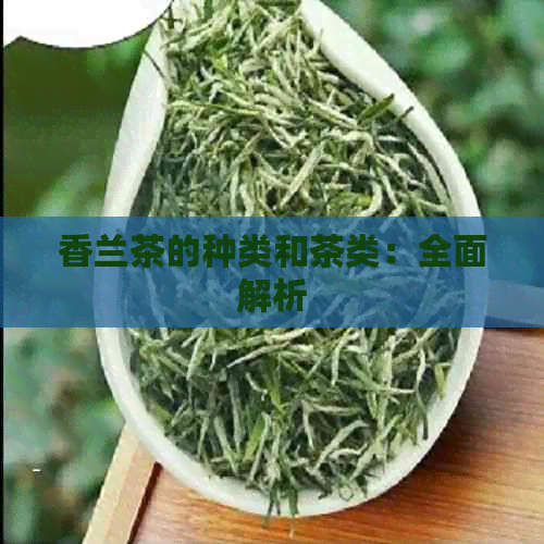 香兰茶的种类和茶类：全面解析