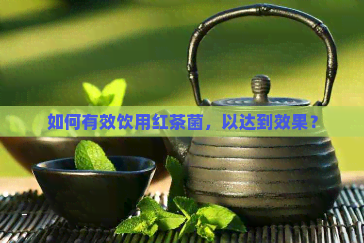 如何有效饮用红茶菌，以达到效果？