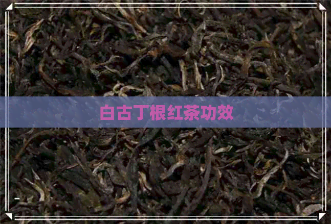 白古丁根红茶功效