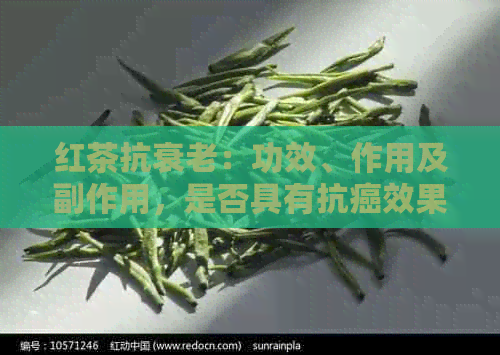 红茶抗衰老：功效、作用及副作用，是否具有抗癌效果？