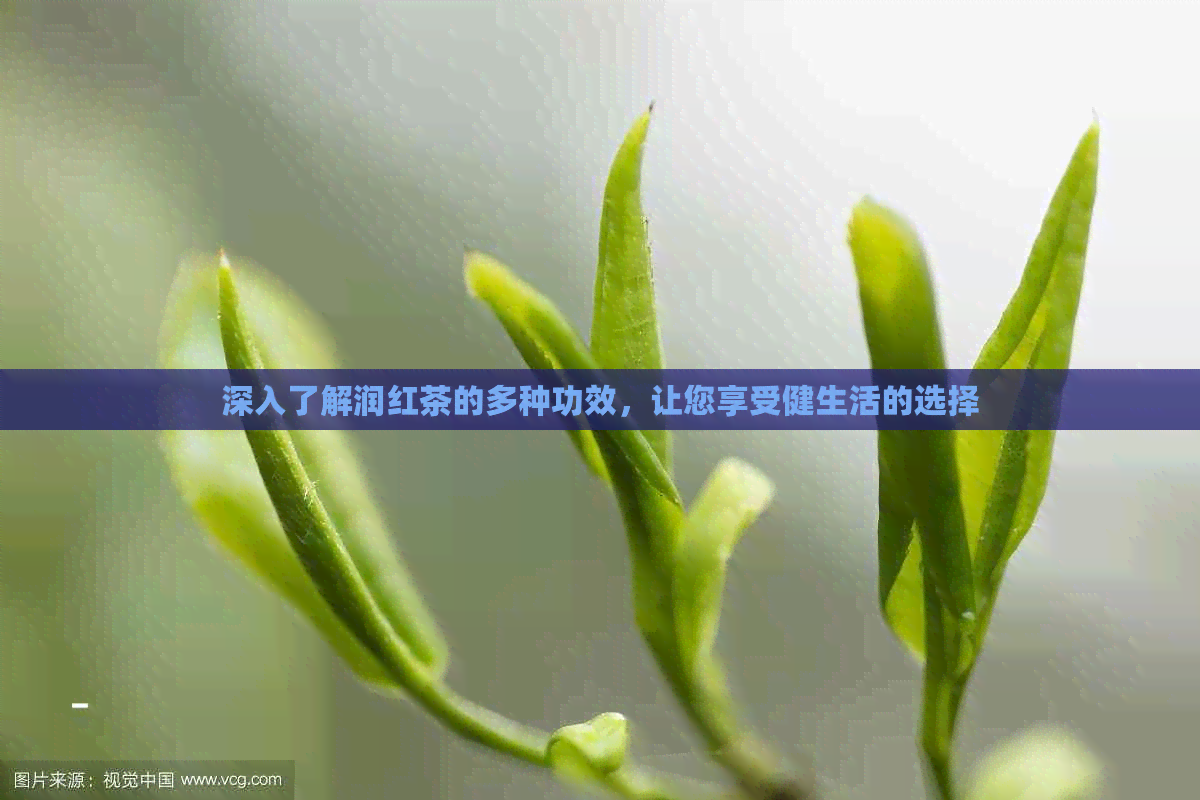 深入了解润红茶的多种功效，让您享受健生活的选择