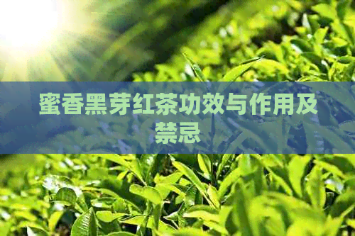 蜜香黑芽红茶功效与作用及禁忌