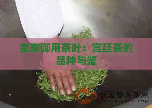 皇家御用茶叶：宫廷茶的品种与鉴