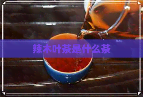 辣木叶茶是什么茶