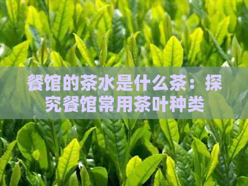 餐馆的茶水是什么茶：探究餐馆常用茶叶种类