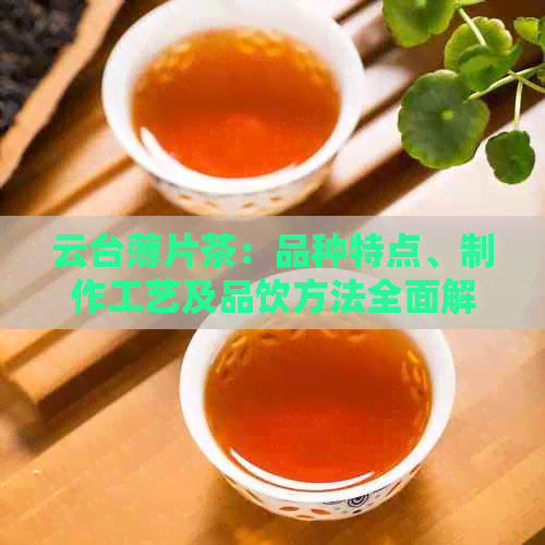 云台薄片茶：品种特点、制作工艺及品饮方法全面解析