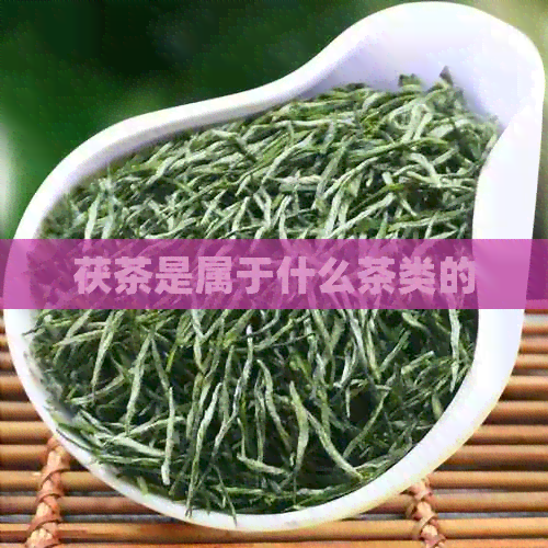 茯茶是属于什么茶类的