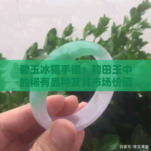 碧玉冰猫手镯：和田玉中的稀有品种及其市场价值分析