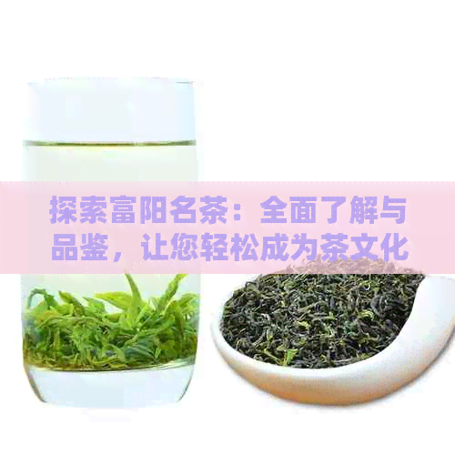 探索富阳名茶：全面了解与品鉴，让您轻松成为茶文化专家