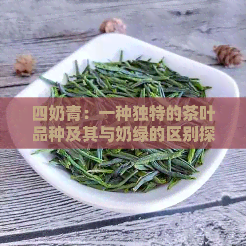 四奶青：一种独特的茶叶品种及其与奶绿的区别探讨