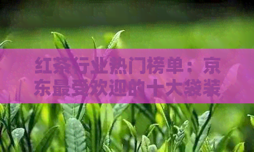 红茶行业热门榜单：京东更受欢迎的十大袋装红茶排行榜