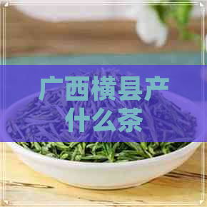 广西横县产什么茶