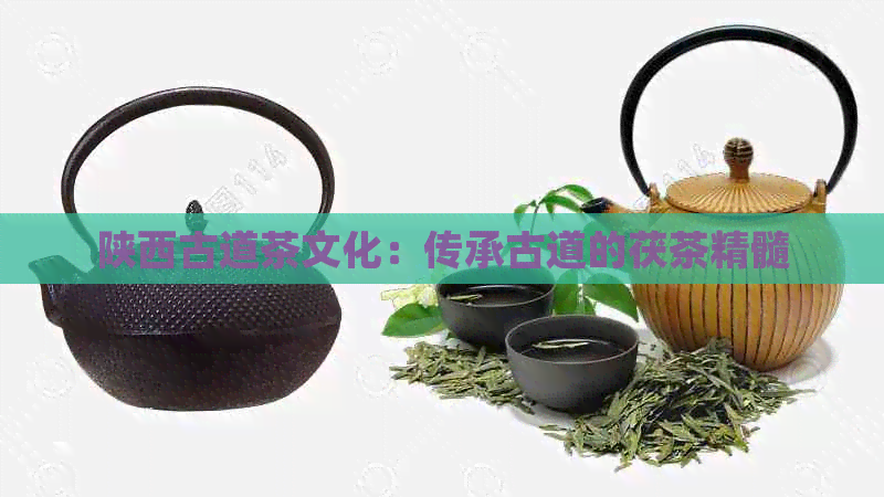 陕西古道茶文化：传承古道的茯茶精髓