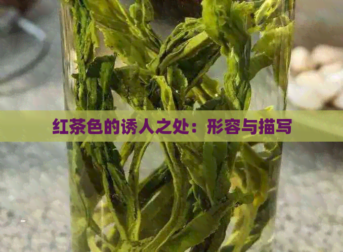 红茶色的诱人之处：形容与描写