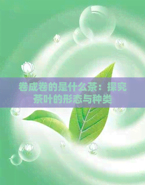 卷成卷的是什么茶：探究茶叶的形态与种类