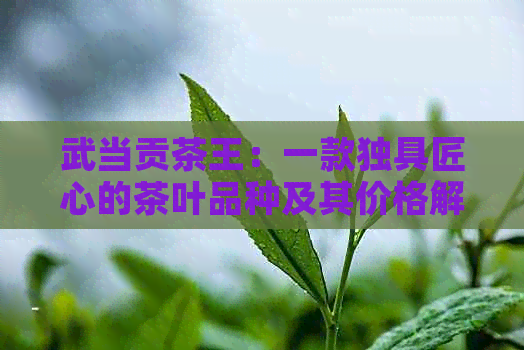 武当贡茶王：一款独具匠心的茶叶品种及其价格解析