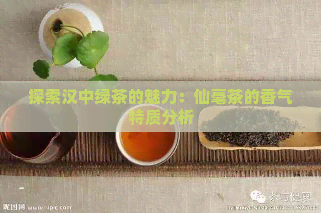 探索汉中绿茶的魅力：仙毫茶的香气特质分析